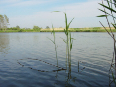 демалыс орталығы шатыр қала кемпинг жыл бойы саяжай үйлер бөлмелер тұру Польшадағы Балтық теңізі Леба